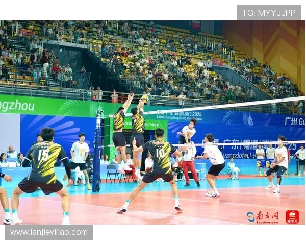 广州排球队实力对比深度解析及未来发展趋势探讨